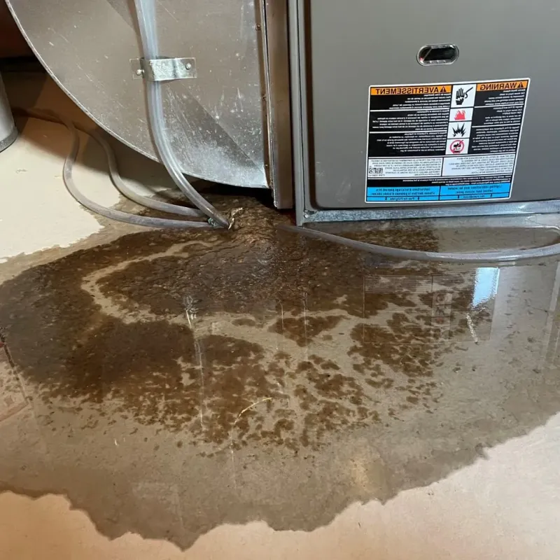 Pipe Burst and Leak Restoration in San Leandro, CA