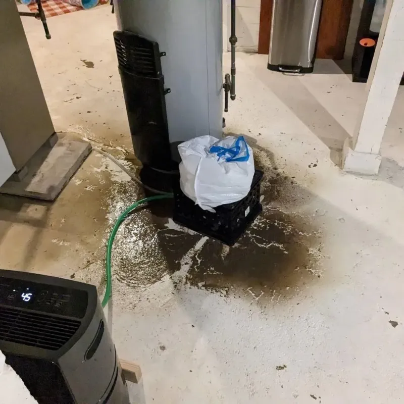 Sewage Backup Cleanup Service in San Leandro, CA